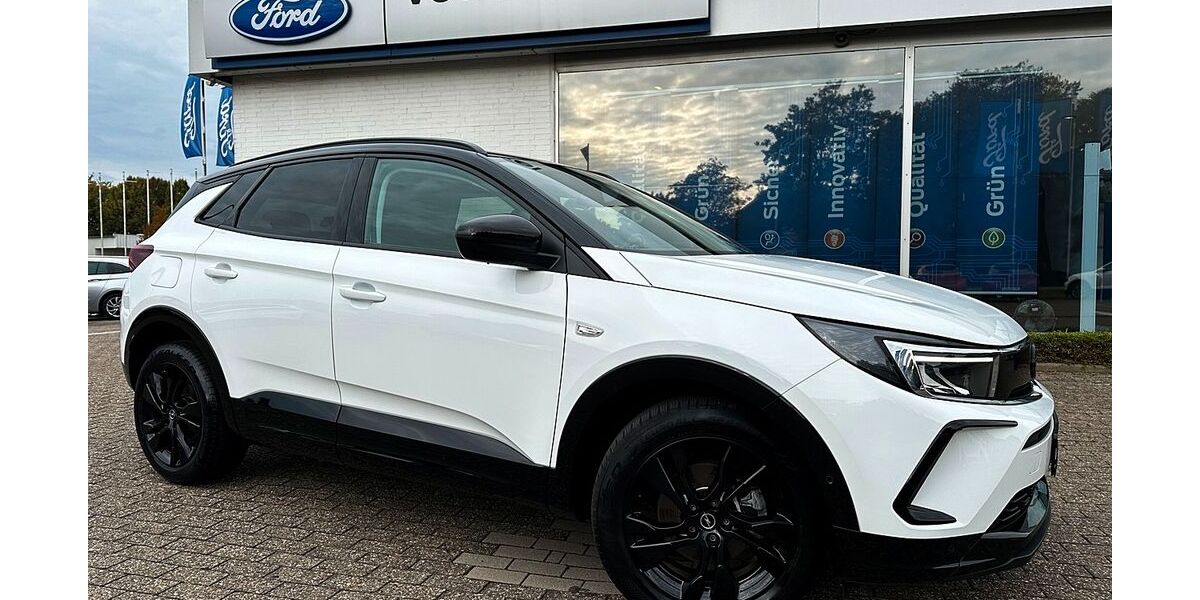 Opel Grandland (X) 19.756 km 21.495 &euro; Brake 26919