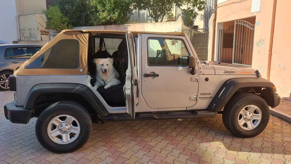 Jeep Wrangler 99.000 km 28.900 &euro; Loxstedt 27612