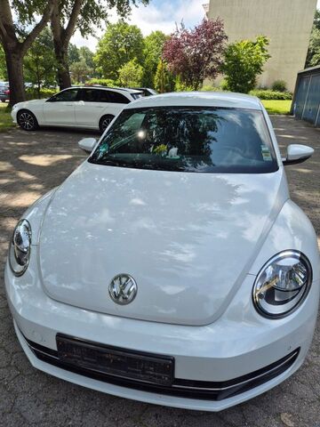 Gebrauchte VW Beetle