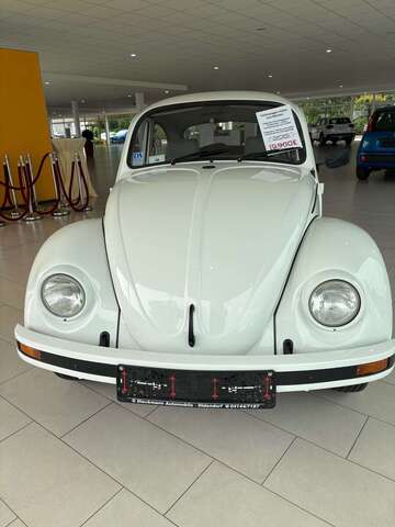 Gebrauchte VW Käfer